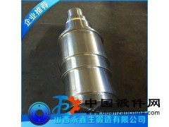 轉(zhuǎn)軸鍛件