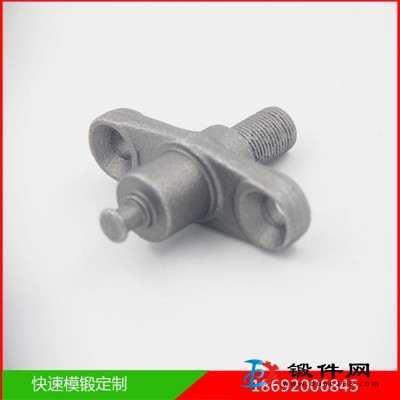 專業(yè)供應(yīng)優(yōu)質(zhì)精密模鍛鍛件 訂購鍛造汽摩配件 拖拉機鍛件