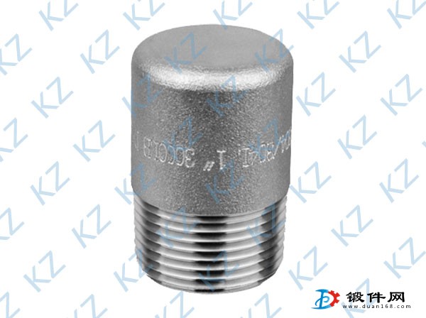 供應(yīng)各種熱銷高壓不銹鋼鍛件