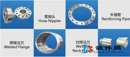 中大型法蘭鍛件