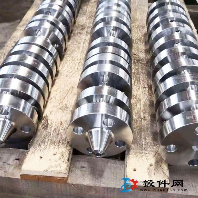 供應(yīng)Alloy20法蘭 Alloy31平焊法蘭 生產(chǎn)廠家