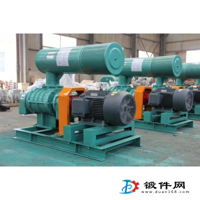 山東瑞拓鼓風(fēng)機RTSR系列羅茨鼓風(fēng)機